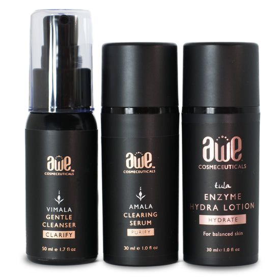 3-Step Ayurveda Skin Care Collection | Oily Skin
