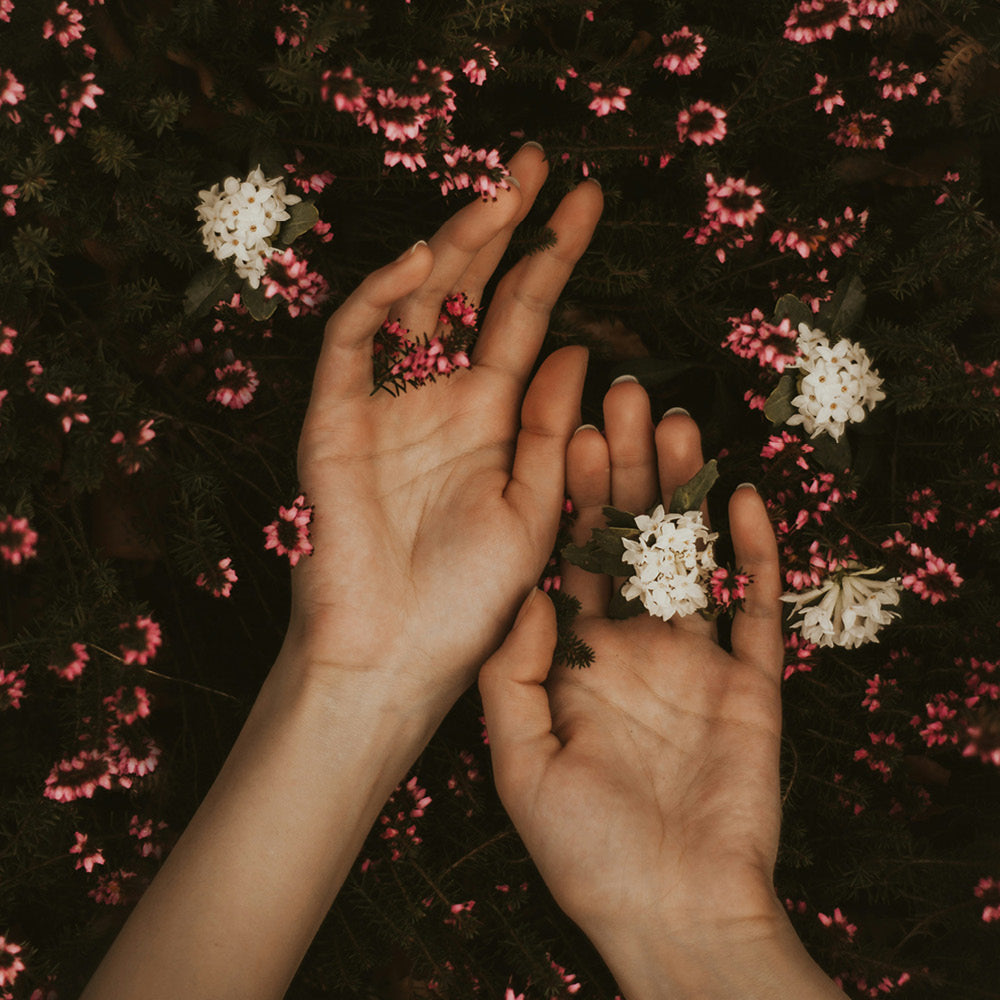 Womans hands on flowers